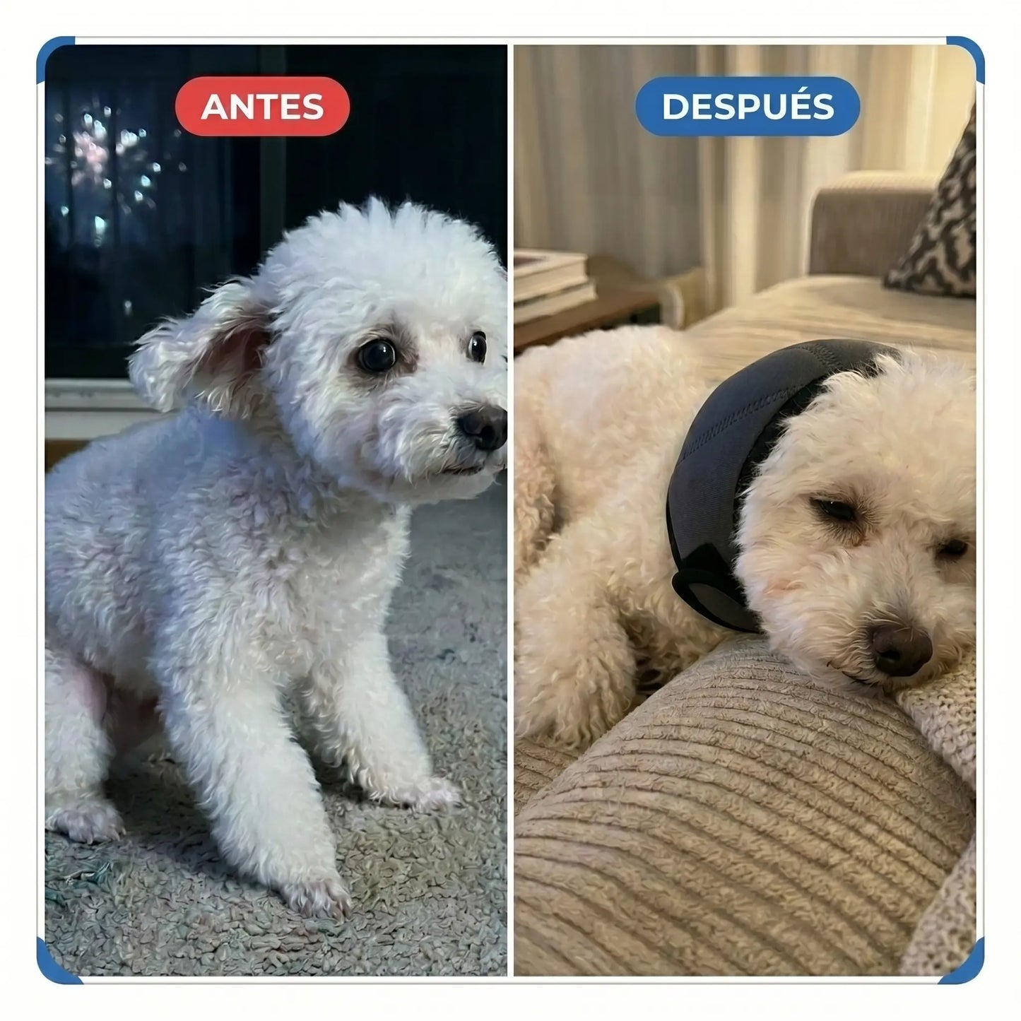 Orejeras Calmantes Para Perros
